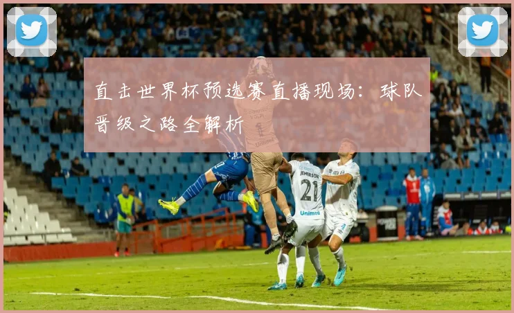 直击世界杯预选赛直播现场：球队晋级之路全解析