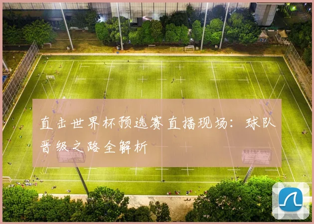 直击世界杯预选赛直播现场：球队晋级之路全解析