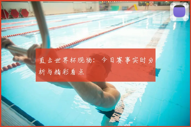 直击世界杯现场：今日赛事实时分析与精彩看点
