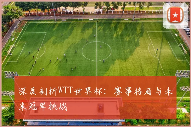 深度剖析WTT世界杯：赛事格局与未来冠军挑战